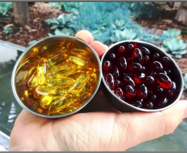 Fish Oil Or Krill Oil - Which Should You Take?