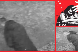 Racially aggravated rape in UK